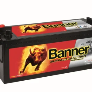 BANNER BUFFALO BULL SHD PRO 64503 145AH 800A (EN)