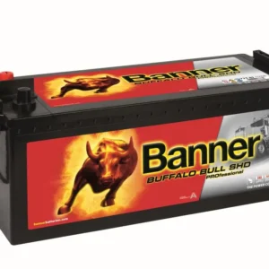 BANNER BUFFALO BULL SHD PRO 72503 225AH 1150A (EN)